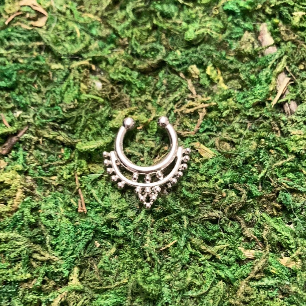FAUX SEPTUM RINGS - Picture 2 of 9